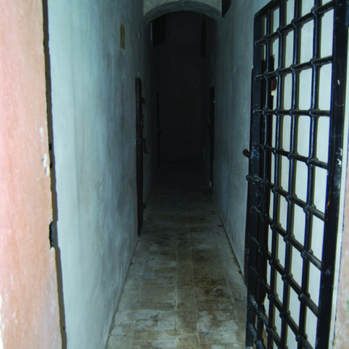 ingresso